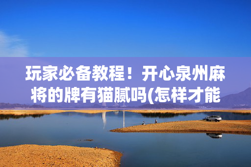 玩家必备教程！开心泉州麻将的牌有猫腻吗(怎样才能赢)