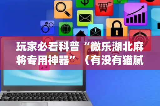 玩家必看科普“微乐湖北麻将专用神器”（有没有猫腻)