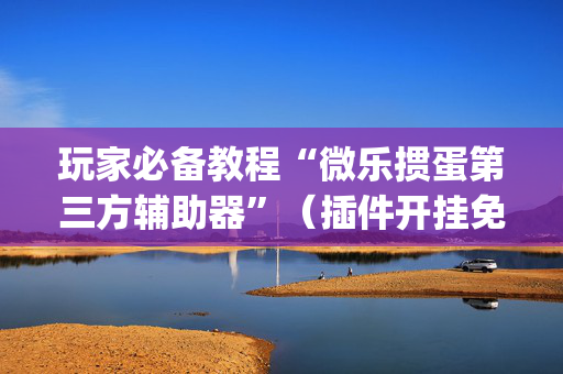 玩家必备教程“微乐掼蛋第三方辅助器”（插件开挂免费AI)