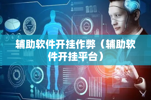 辅助软件开挂作弊（辅助软件开挂平台）