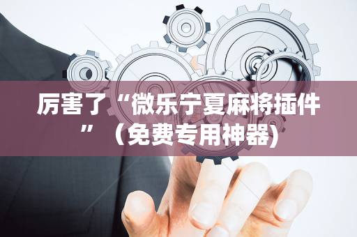 厉害了“微乐宁夏麻将插件”（免费专用神器)