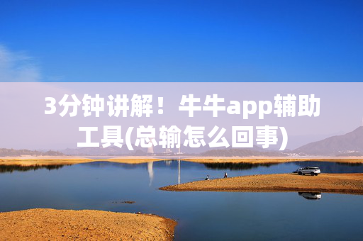 3分钟讲解！牛牛app辅助工具(总输怎么回事)
