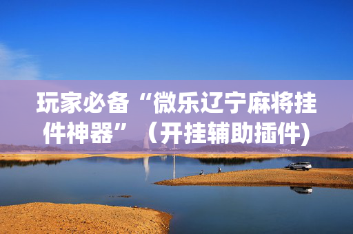 玩家必备“微乐辽宁麻将挂件神器”（开挂辅助插件)