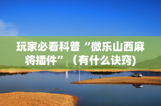 玩家必看科普“微乐山西麻将插件”（有什么诀窍)