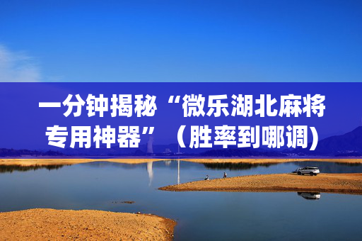 一分钟揭秘“微乐湖北麻将专用神器”（胜率到哪调)