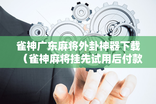 雀神广东麻将外卦神器下载（雀神麻将挂先试用后付款）