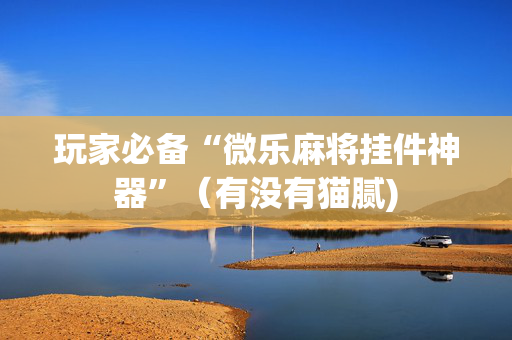 玩家必备“微乐麻将挂件神器”（有没有猫腻)