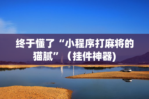 终于懂了“小程序打麻将的猫腻”（挂件神器)