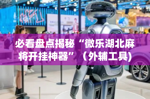 必看盘点揭秘“微乐湖北麻将开挂神器”（外辅工具)