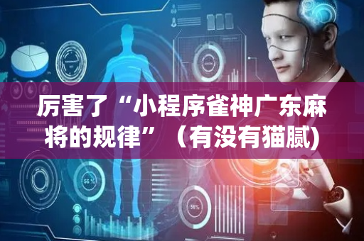 厉害了“小程序雀神广东麻将的规律”（有没有猫腻)