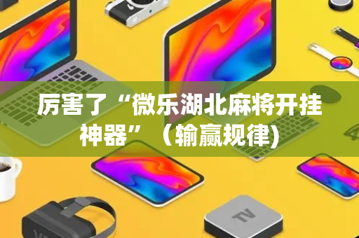 厉害了“微乐湖北麻将开挂神器”（输赢规律)