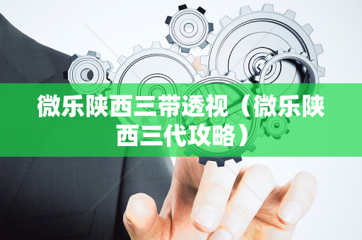微乐陕西三带透视（微乐陕西三代攻略）
