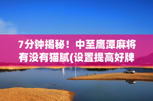 7分钟揭秘！中至鹰潭麻将有没有猫腻(设置提高好牌几率)