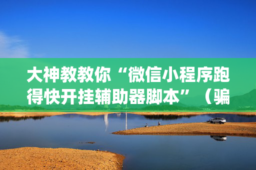 大神教教你“微信小程序跑得快开挂辅助器脚本”（骗局大揭秘)