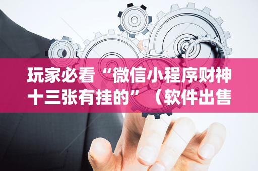 玩家必看“微信小程序财神十三张有挂的”（软件出售)