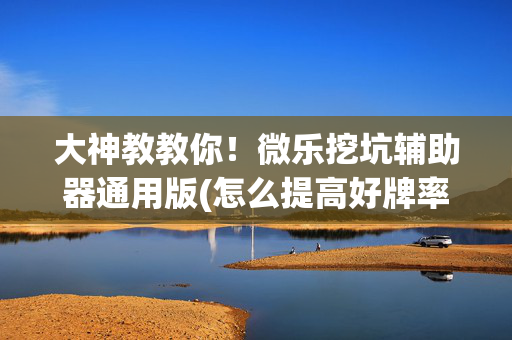 大神教教你！微乐挖坑辅助器通用版(怎么提高好牌率)