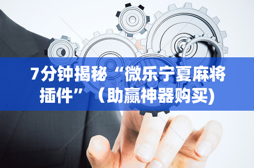 7分钟揭秘“微乐宁夏麻将插件”（助赢神器购买)