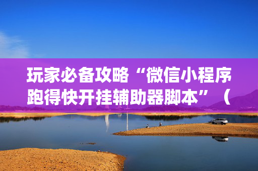 玩家必备攻略“微信小程序跑得快开挂辅助器脚本”（插件开挂免费AI)