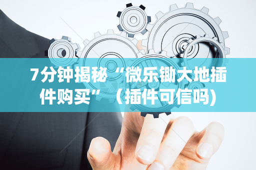 7分钟揭秘“微乐锄大地插件购买”（插件可信吗)