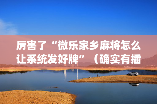 厉害了“微乐家乡麻将怎么让系统发好牌”（确实有插件吗)