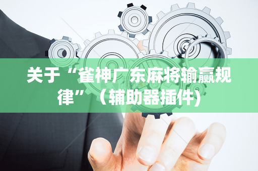 关于“雀神广东麻将输赢规律”（辅助器插件)