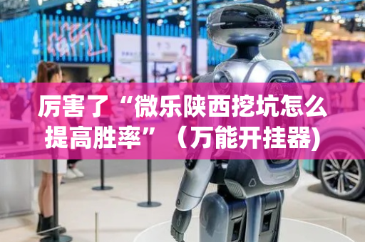 厉害了“微乐陕西挖坑怎么提高胜率”（万能开挂器)