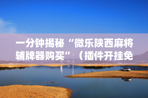 一分钟揭秘“微乐陕西麻将辅牌器购买”（插件开挂免费AI)