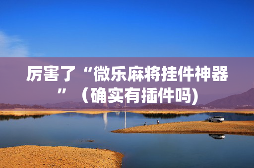 厉害了“微乐麻将挂件神器”（确实有插件吗)