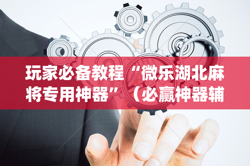 玩家必备教程“微乐湖北麻将专用神器”（必赢神器辅助器)