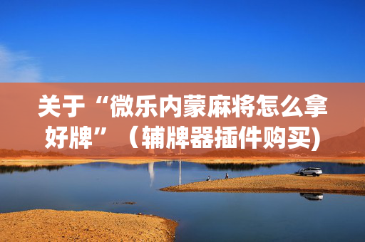 关于“微乐内蒙麻将怎么拿好牌”（辅牌器插件购买)