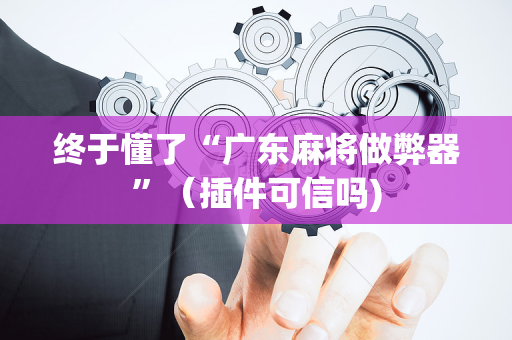 终于懂了“广东麻将做弊器”（插件可信吗)