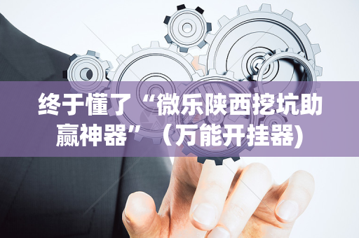 终于懂了“微乐陕西挖坑助赢神器”（万能开挂器)
