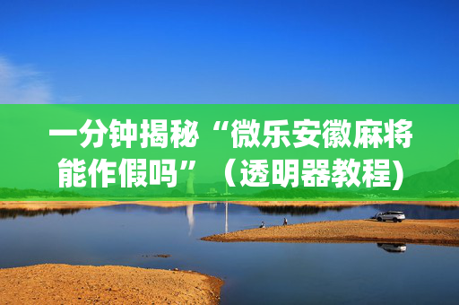 一分钟揭秘“微乐安徽麻将能作假吗”（透明器教程)
