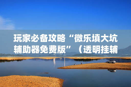 玩家必备攻略“微乐填大坑辅助器免费版”（透明挂辅助器)