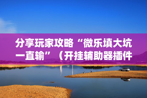 分享玩家攻略“微乐填大坑一直输”（开挂辅助器插件)