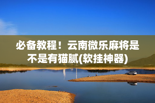 必备教程！云南微乐麻将是不是有猫腻(软挂神器)
