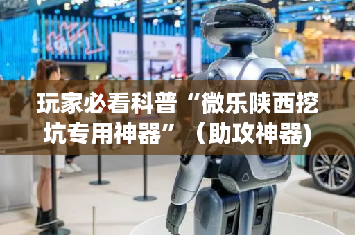 玩家必看科普“微乐陕西挖坑专用神器”（助攻神器)