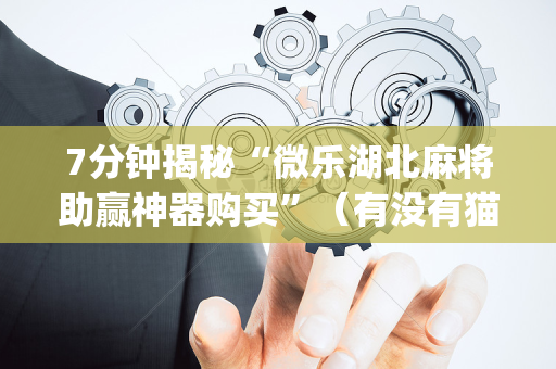 7分钟揭秘“微乐湖北麻将助赢神器购买”（有没有猫腻)