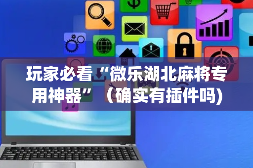 玩家必看“微乐湖北麻将专用神器”（确实有插件吗)