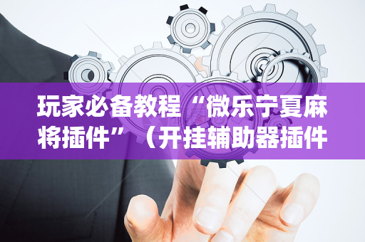 玩家必备教程“微乐宁夏麻将插件”（开挂辅助器插件)