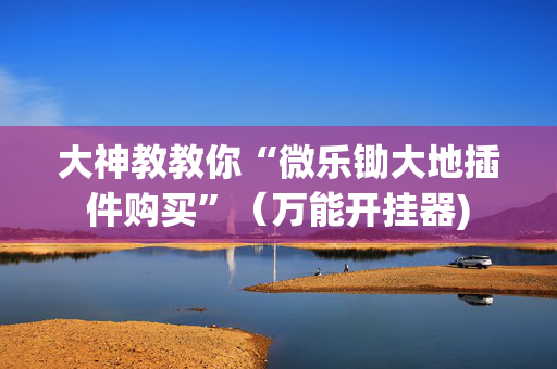 大神教教你“微乐锄大地插件购买”（万能开挂器)