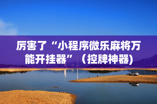 厉害了“小程序微乐麻将万能开挂器”（控牌神器)