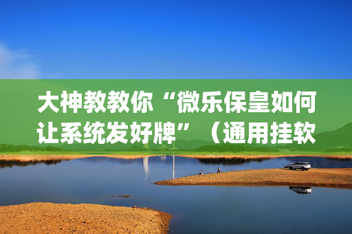 大神教教你“微乐保皇如何让系统发好牌”（通用挂软件多少钱)