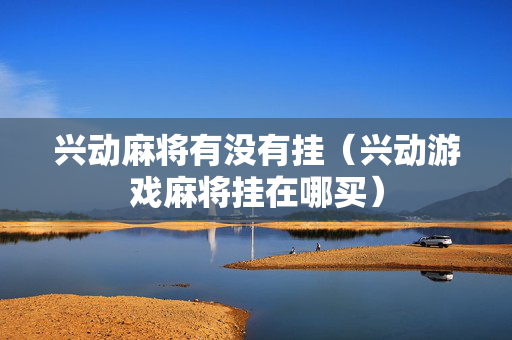 兴动麻将有没有挂（兴动游戏麻将挂在哪买）