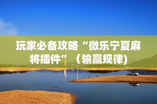 玩家必备攻略“微乐宁夏麻将插件”（输赢规律)