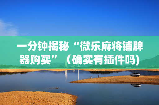 一分钟揭秘“微乐麻将铺牌器购买”（确实有插件吗)