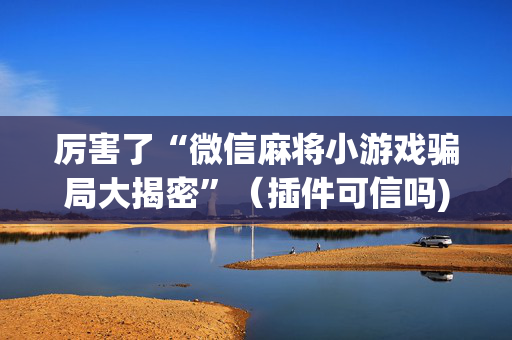 厉害了“微信麻将小游戏骗局大揭密”（插件可信吗)