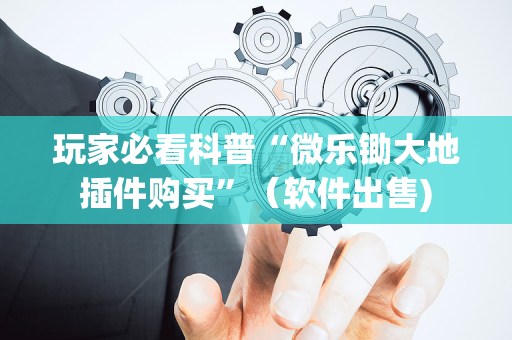玩家必看科普“微乐锄大地插件购买”（软件出售)