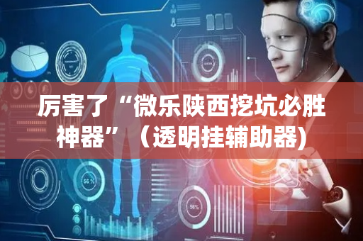 厉害了“微乐陕西挖坑必胜神器”（透明挂辅助器)