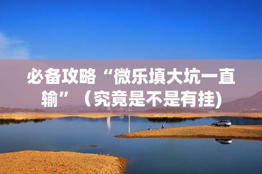 必备攻略“微乐填大坑一直输”（究竟是不是有挂)